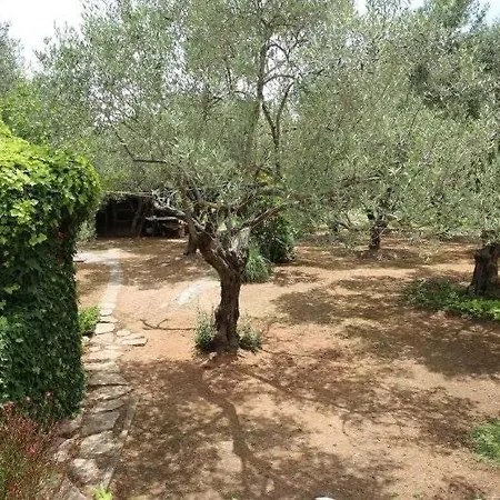 Plava Plaza Apartamento Vodice