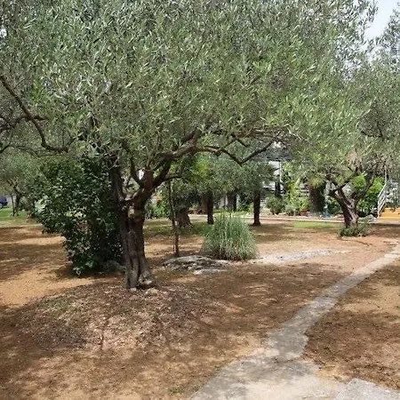 Apartment Plava Plaza Vodice