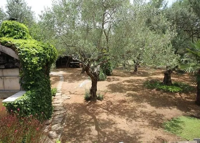 Plava Plaza Apartamento Vodice