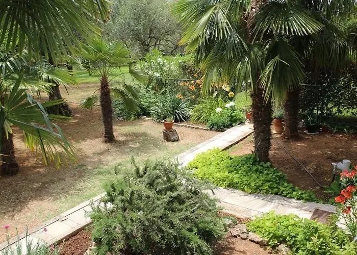 Apartamento Plava Plaza *